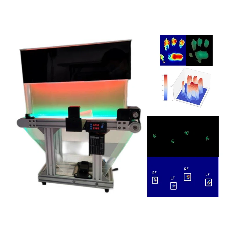 Sistema de análise de marcha em esteira animal
